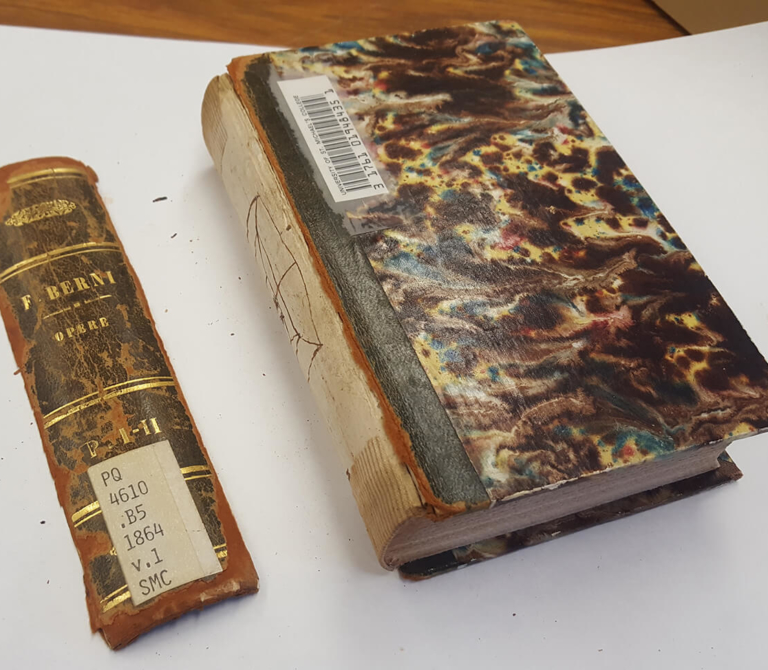 Photo of damaged book by Risa de Rege