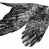 American Crow, 2023, Collagraph web small
