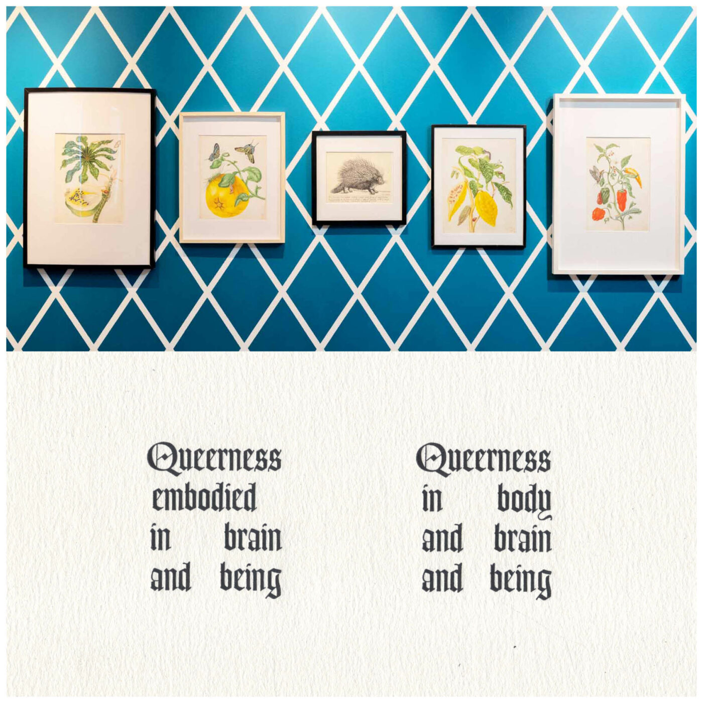 a split screen image where the top image is a work by Ceilidh Munroe, and the bottom one is a work by Callum McKenzie. The top photo features a dark blue patterned wall with framed illustrations of fruit and animals hung on it. The bottom image is a letterpress print of text that reads 'Queerness embodied in brain and being, Queerness in body and brain and being.'