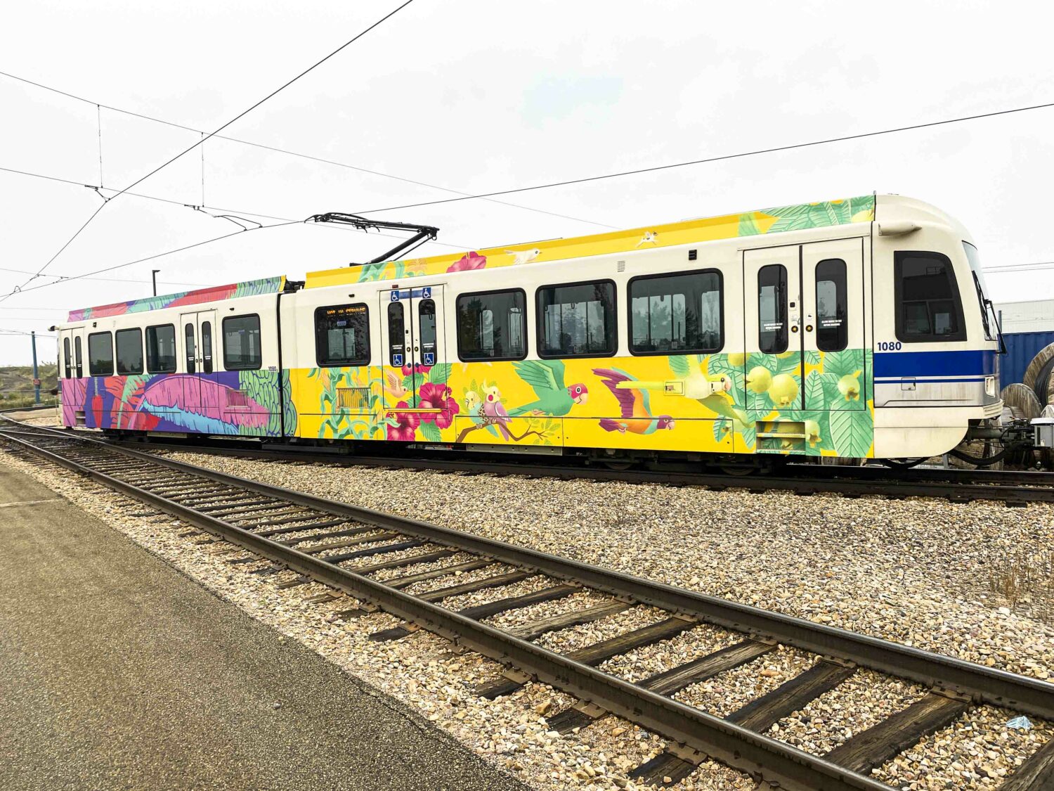 A photo of an Edmonton LRT with artwork by Michelle and Roger featuring illustrations of birds, foliage, corn stalks, tree branches, plantain plants and bunches.