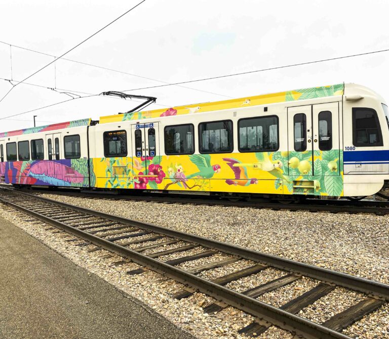 A photo of an Edmonton LRT with artwork by Michelle and Roger featuring illustrations of birds, foliage, corn stalks, tree branches, plantain plants and bunches.